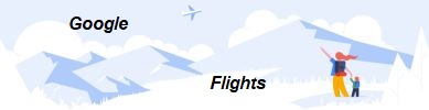 Search your flight with Google